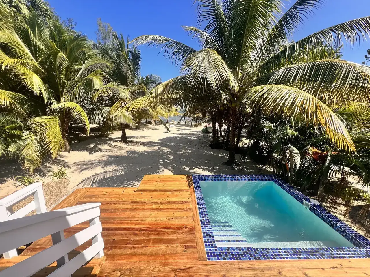 Casita’s private plunge pool set in the deck between palm trees