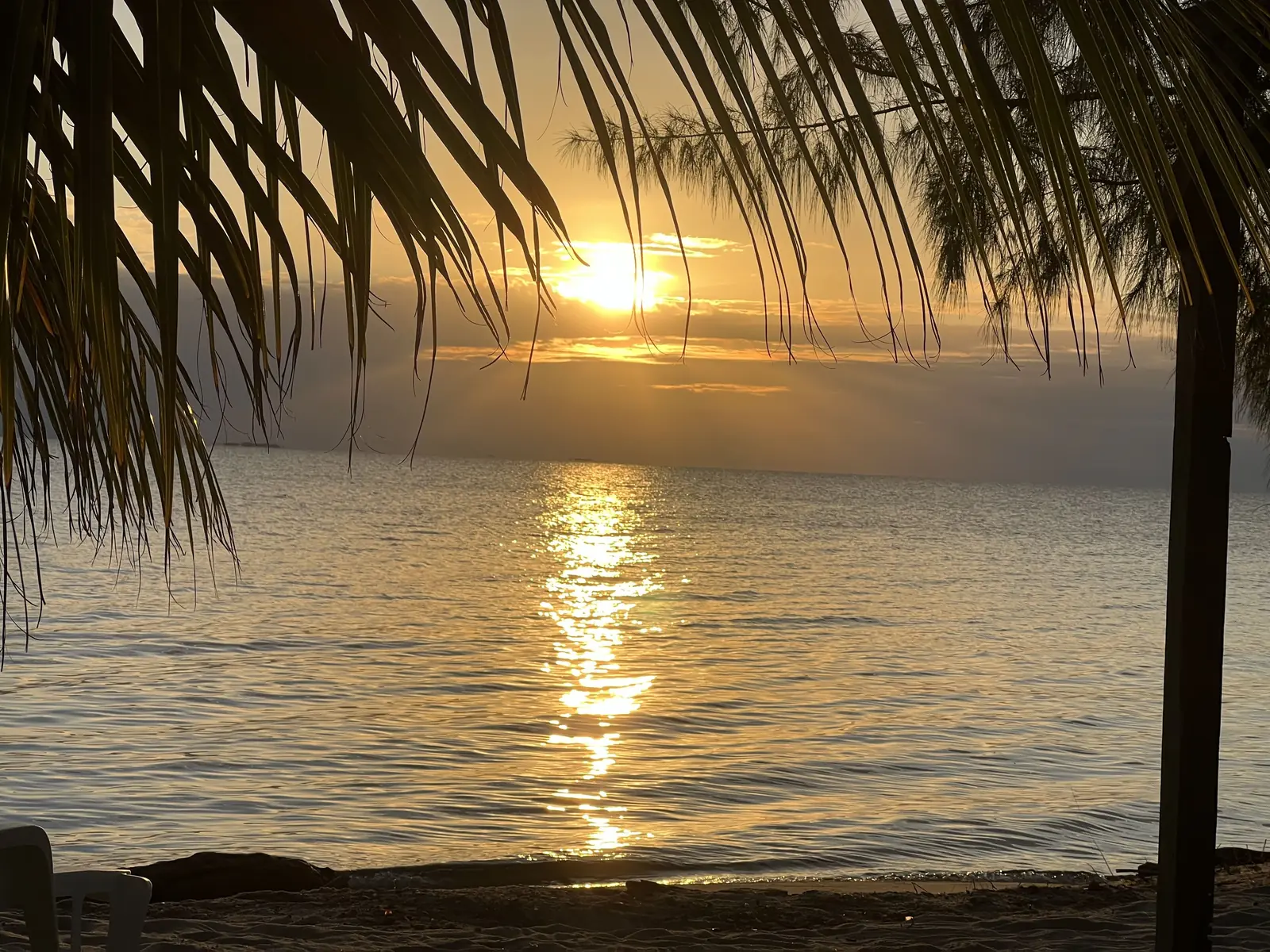 Sun on the water at the Placencia Peninsula, seen from the shade of a palm