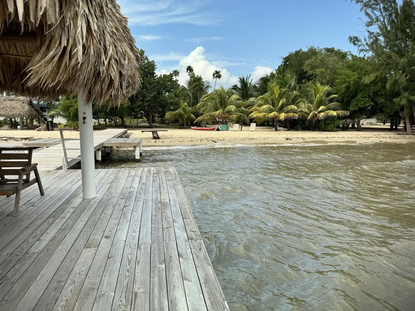 Sandy path through the palms to La Vida’s beach