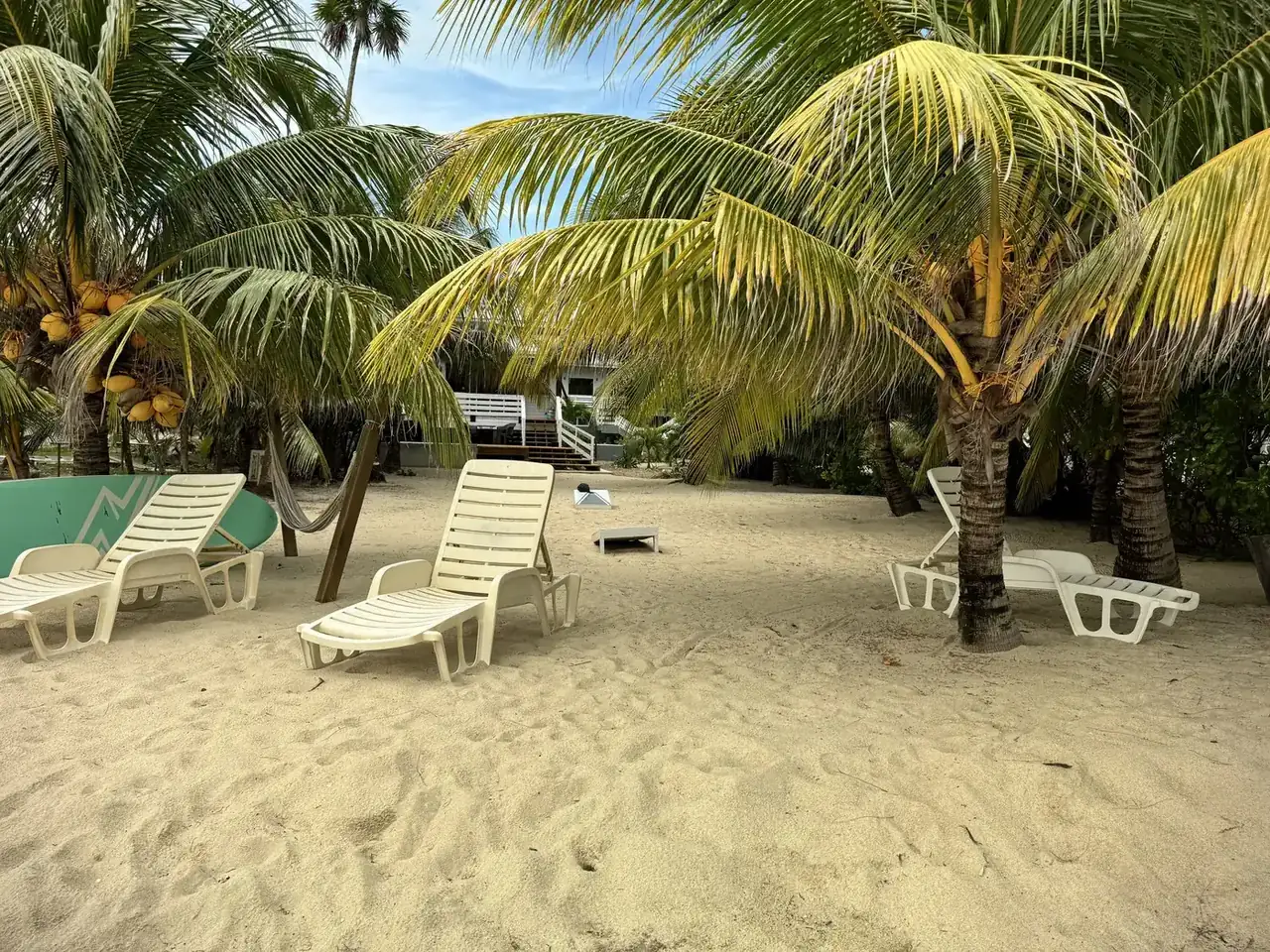 White lounge chairs on the sand under the palms at La Vida